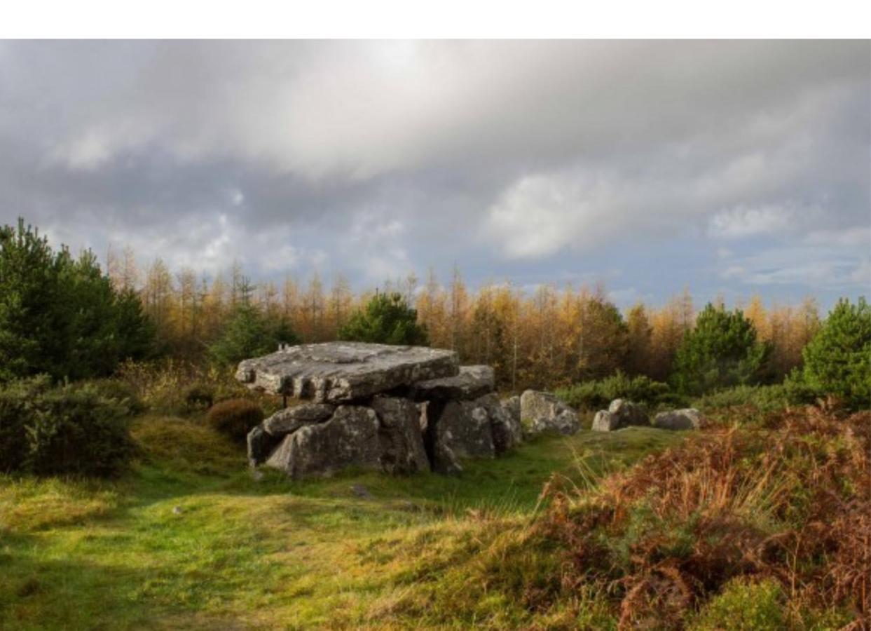 Corderry Farmhouse, Idyllic Cottage Amid 250 Acres Lisvernane Екстер'єр фото