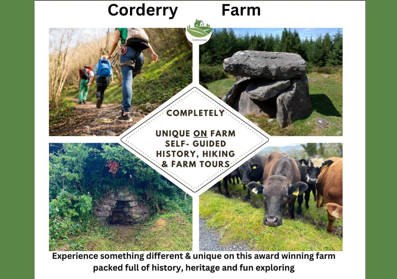 Corderry Farmhouse, Idyllic Cottage Amid 250 Acres Lisvernane Екстер'єр фото